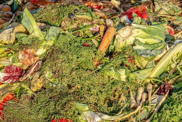 AEMA: hay que eliminar correctamente los plásticos biodegradables y compostables