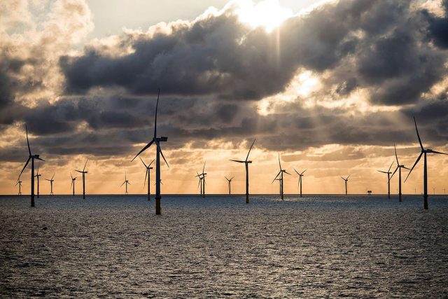 Ørsted y BASF firman un acuerdo de compra de energía eólica marina
