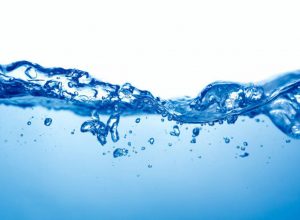 Bayer se une a la campaña RUNBLUE para combatir la crisis del agua